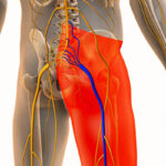 Signs of Sciatica Pain Improving & the Phases of Recovery